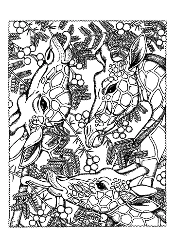 Beautiful Giraffes coloring page