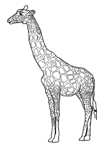 Realistic giraffe coloring page