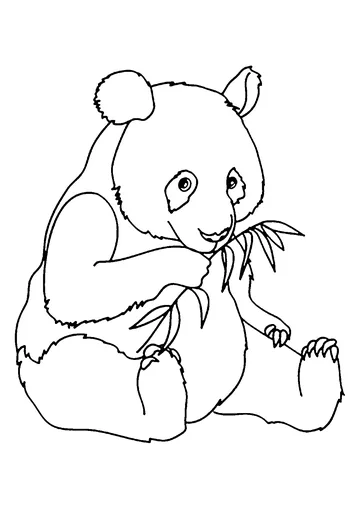 Panda eating a bamboo branch coloring page