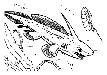Shark at full speed coloring page