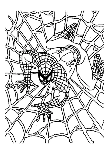 Spiderman in his web coloring page